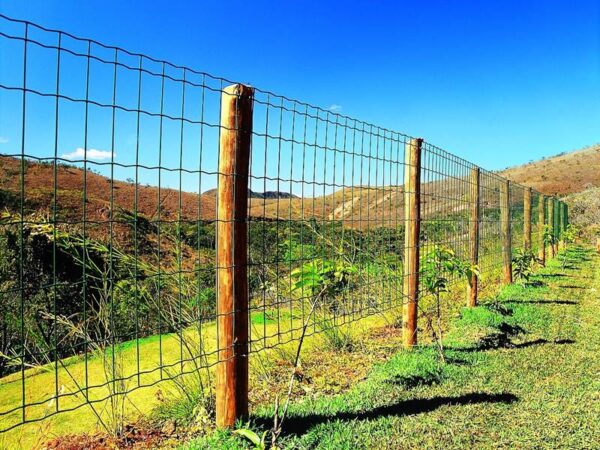 tela cerca soldada galvanizada revestida em PVC verde ideal para cercamento de áreas rurais