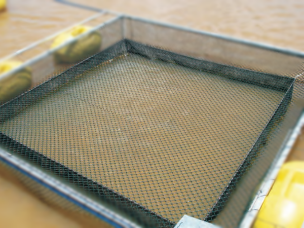 Berçário de multifilamento para alevinos ideal para impedir ataque de peixes carnívoros