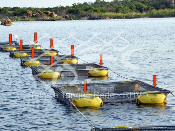 Boia flutuador hidrodinâmico para gaiola de peixes filhotes, alevinos e pescados