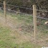 Tela cerca campestre ideal para criação de ovinos e caprinos