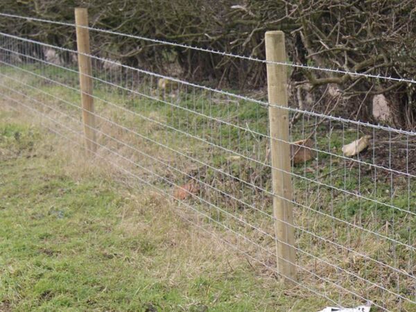 Tela cerca campestre ideal para criação de ovinos e caprinos