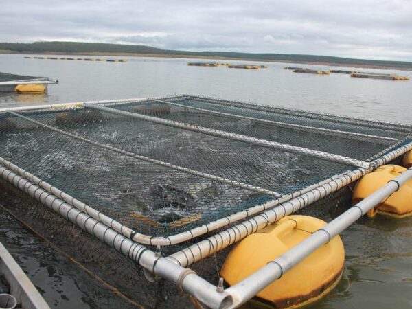 Tanque rede grande em estrutura tubular de alumínio naval de alta resistência ou aço galvanizado a fogo