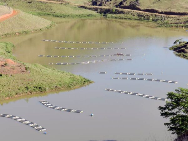 Tanque rede de grande volume, tela do corpo de arame galvanizado revestido em PVC, boias com proteção UV e tampa tubular