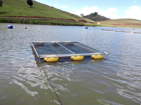 Tanque rede de grande volume para psicultura e aquicultura