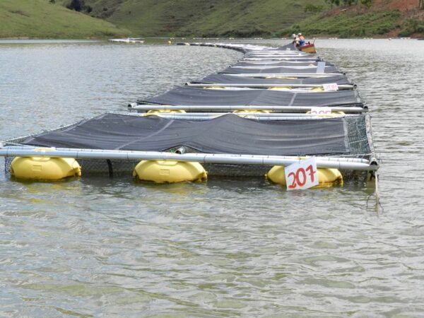 Tanque rede de grande volume em estrutura de alumínio sem solda para criação e manejo de peixes