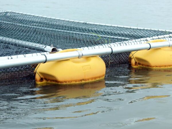 Flutuador boia hidrodinâmico para tanque rede com proteção contra raios UV, alta qualidade para psicultura e aquicultura