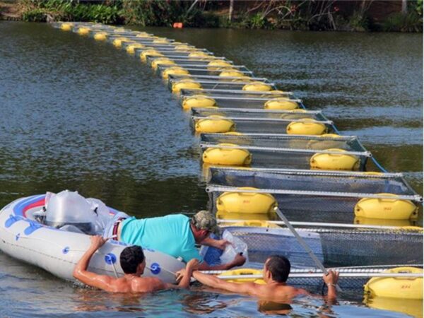 Modelos e comparativos de tanque rede