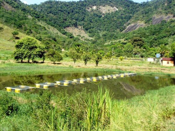 Modelos de tanque redes grandes e de grandes volumes