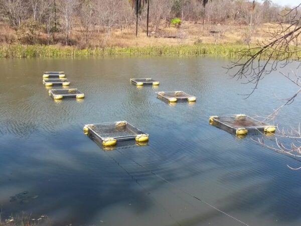 Detalhes do tanque redede grande volume