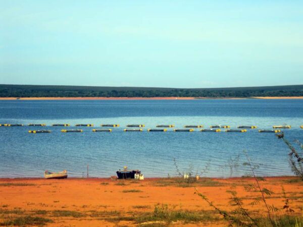 Detalhes tanque rede de grande proporção