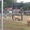 Tela cerca de arame soldada ideal para cercamento de sítios, ranchos, casas de campo e criação de animais