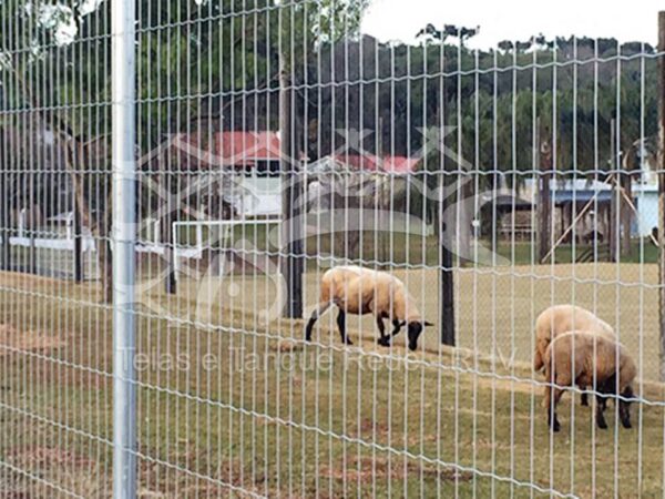 Tela cerca de arame soldada ideal para cercamento de sítios, ranchos, casas de campo e criação de animais