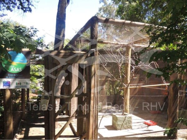 Tela de viveiro para aves instalado em madeiras de eucalipto tratado para aven apreendidas