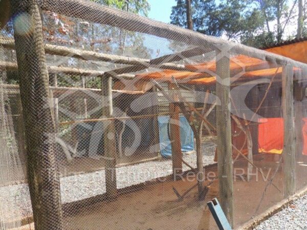 Tela tipo alambrado fio 18 malha 20mm, a melhor opção para aves pequenas em geral