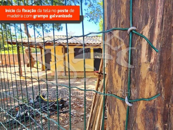 Fixação detalhada da tela cerca soldada em um poste de madeira com grampo galvanizado