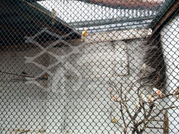 Tela cerca viveiro revestida de PVC ideal para passarinhos