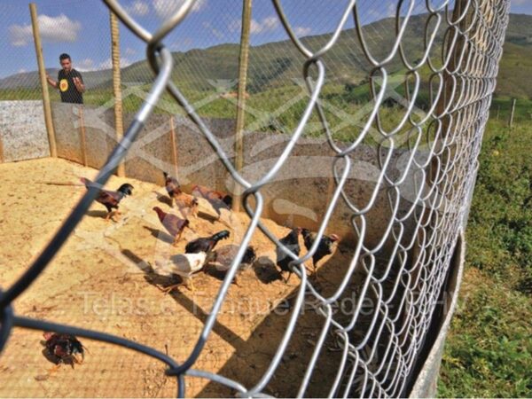 Tela cerca arame galvanizado ideal para galinheiros e aviários