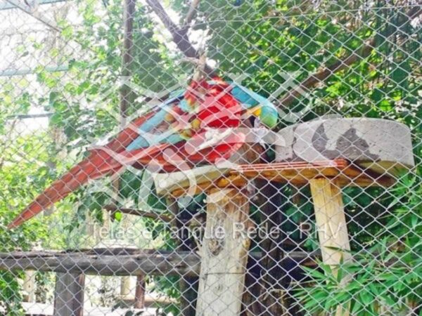 Tela cerca alambrado galvanizado ideal para pássaros e aves como araras e papagaios vermellhos