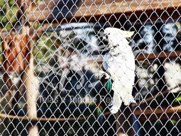 Tela cerca arame alambrado galvanizado ideal para pássaros e aves como cacatuas e corellas