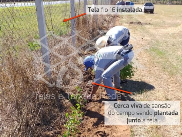 Instalação da tela cerca alambrado de arame galvanizado