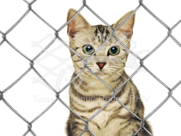 tela para gatos gatil