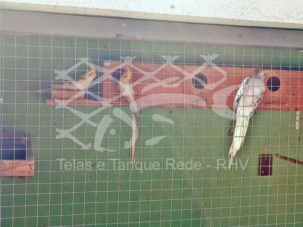 Detalhes da tela cerca soldada para viveiro ideal para diversos e pequenos tipos de aves como calopsitas