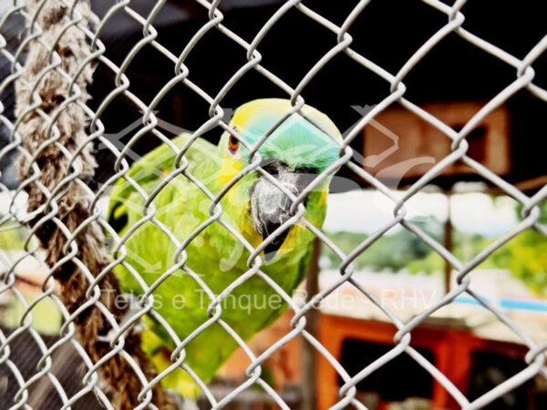 Tela cerca para viveiro de alta resistência, versatilidade, durabilidade e qualidade ideal para papagaios