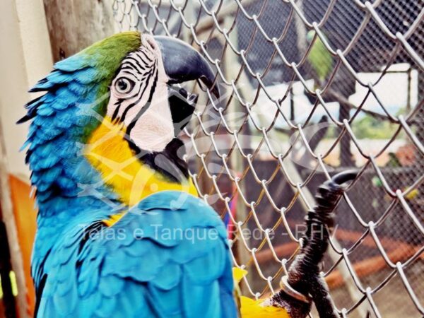 Tela cerca viveiro fio arame fio 16 malha 20mm de alta resistência, durabilidade, qualidade, para araras
