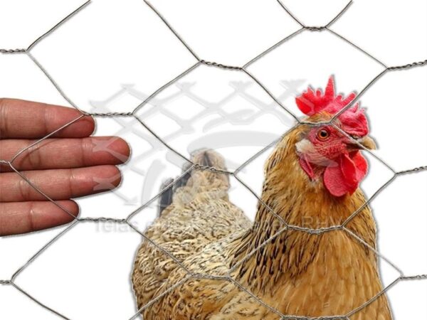 Especificações e comparativo da tela cerca hexagonal em arame galvanizado trançado ideal para galinheiro