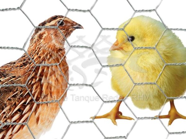Tela cerca hexagonal em arame galvanizado trançado ideal para a criação de pequenas aves, pintinhos, codornas e coelhos