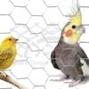 Tela cerca hexagonal em arame galvanizado para vieiros e aviários ideal para a criação de pequenas aves e passarinhos