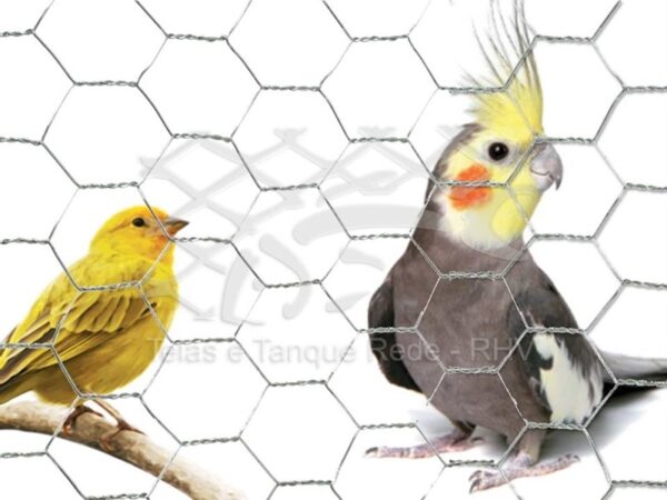 Tela cerca hexagonal em arame galvanizado para vieiros e aviários ideal para a criação de pequenas aves e passarinhos