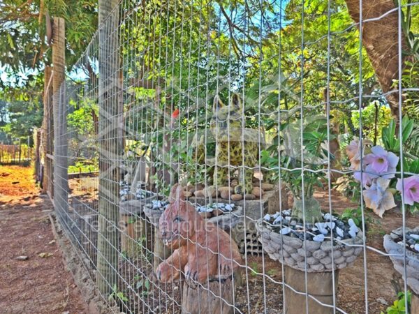 Tela cerca soldada de alta qualidade para cercar jardins, hortas e quintais